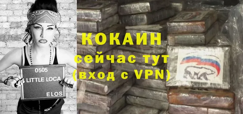 COCAIN VHQ  Мураши 